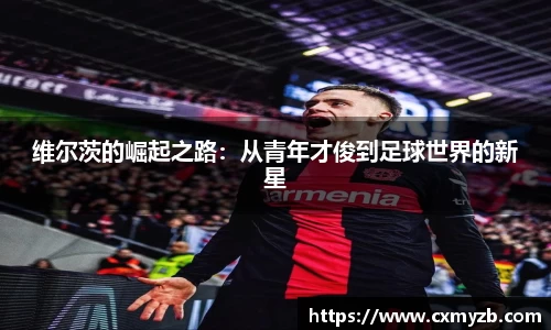 维尔茨的崛起之路：从青年才俊到足球世界的新星