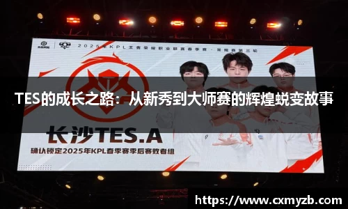 TES的成长之路：从新秀到大师赛的辉煌蜕变故事
